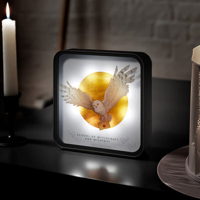 Official Harry Potter Hedwig Perspex Lamp