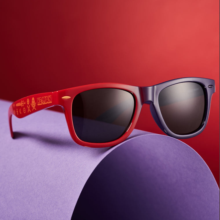 He-Man and Skeletor Sunglasses