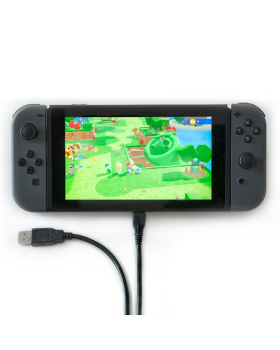 Numskull Nintendo Switch USB C Fast Charge Cable
